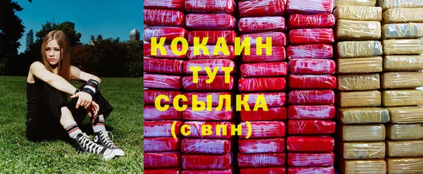 бошки Пересвет
