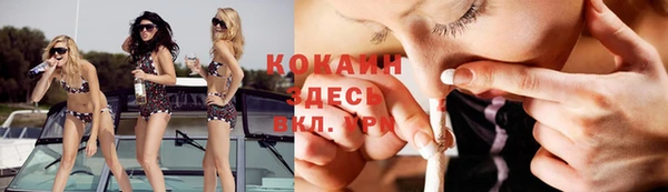 бошки Пересвет