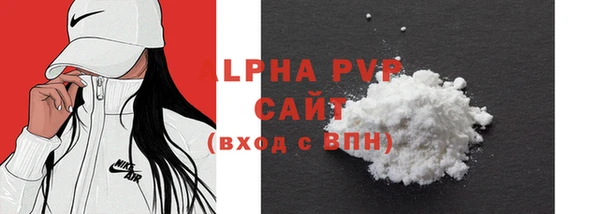 амф Пестово