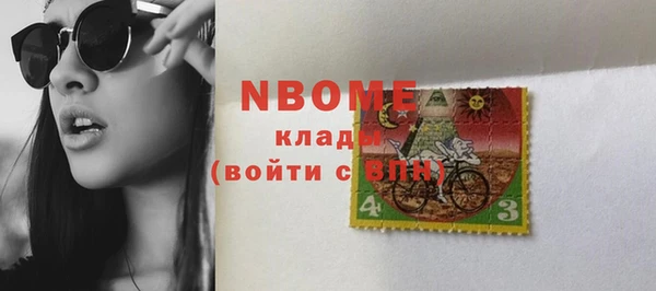 амф Пестово