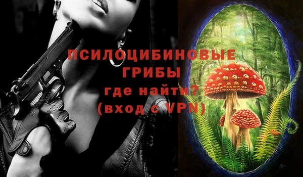 амф Пестово