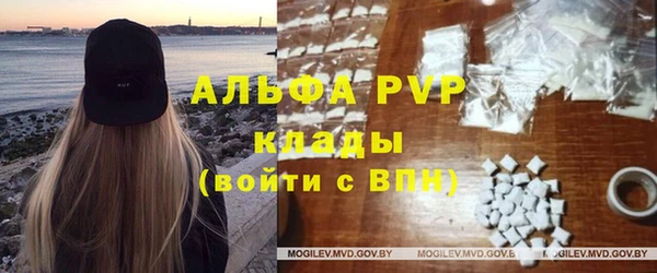 бошки Пересвет