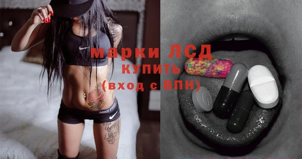 бошки Пересвет