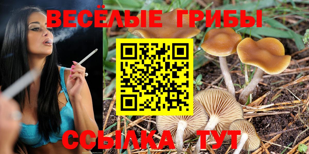 Галлюциногенные грибы Psilocybe Переславль-Залесский