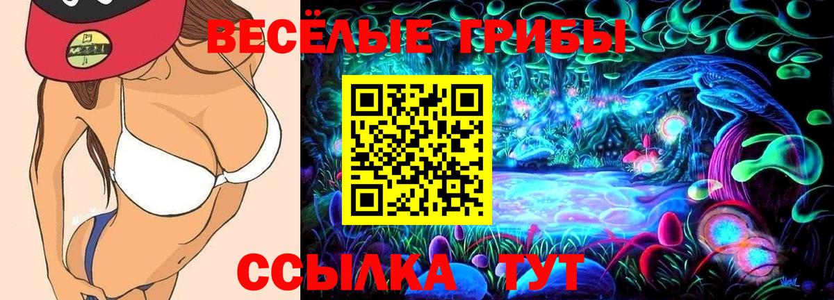 Переславль-Залесский  Галлюциногенные грибы MAGIC MUSHROOMS  Вход с VPN 